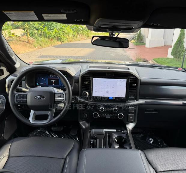 Ford F-150 2025 Gray · Photo 3
