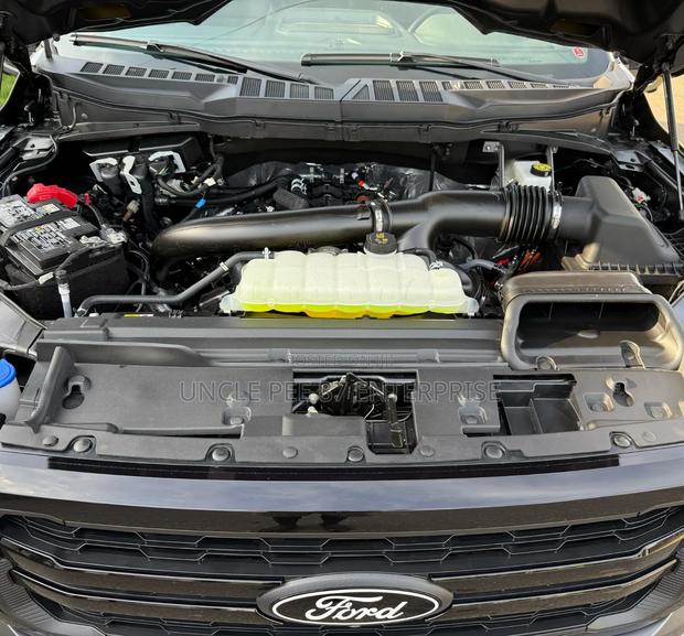 Ford F-150 2025 Gray · Photo 5
