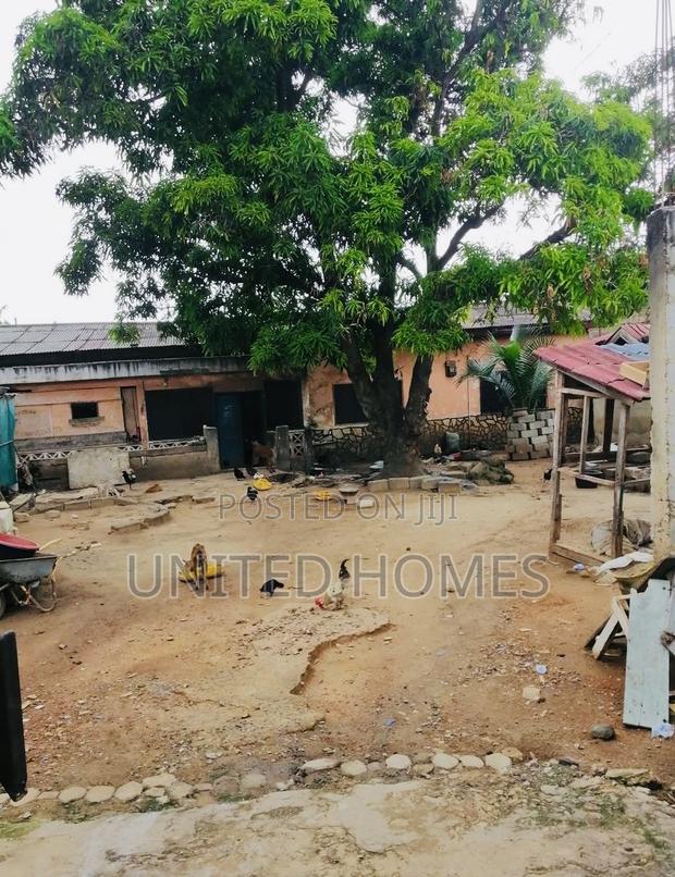 Lapaz Roadside Plot of Land for Sale · Photo 4