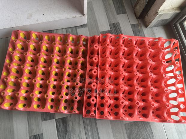 Plastic Egg Crates · Photo 3