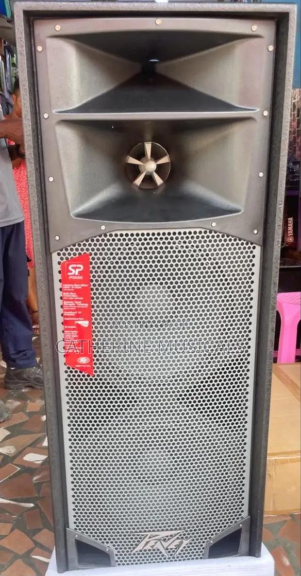 Peavey Spider Mid Speaker · Photo 1