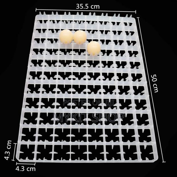 88 Egg Tray · Photo 1