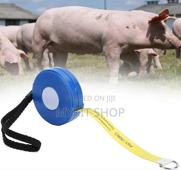 Pigs Weight Tape · Photo 1