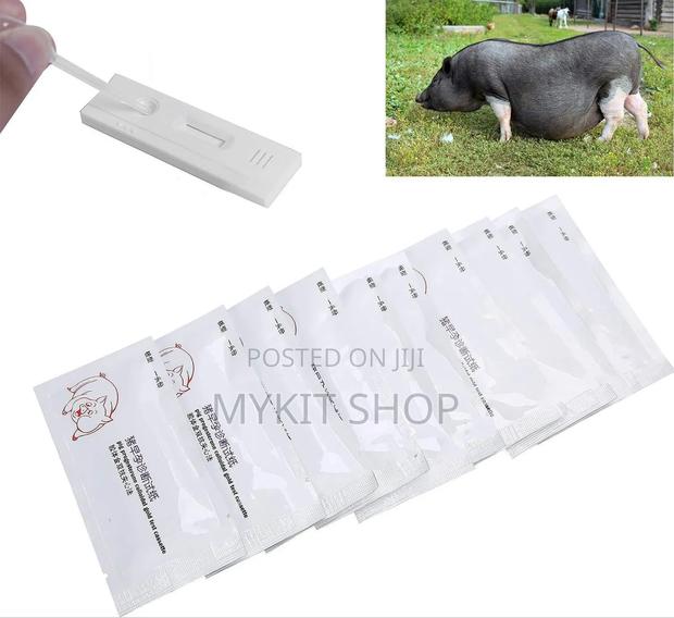 Pig Pregnancy Test · Photo 1