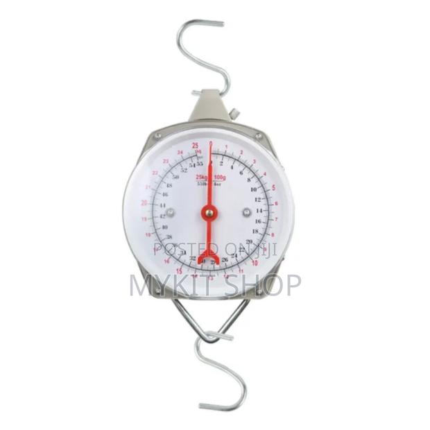 200kg Hanging Scale · Photo 1