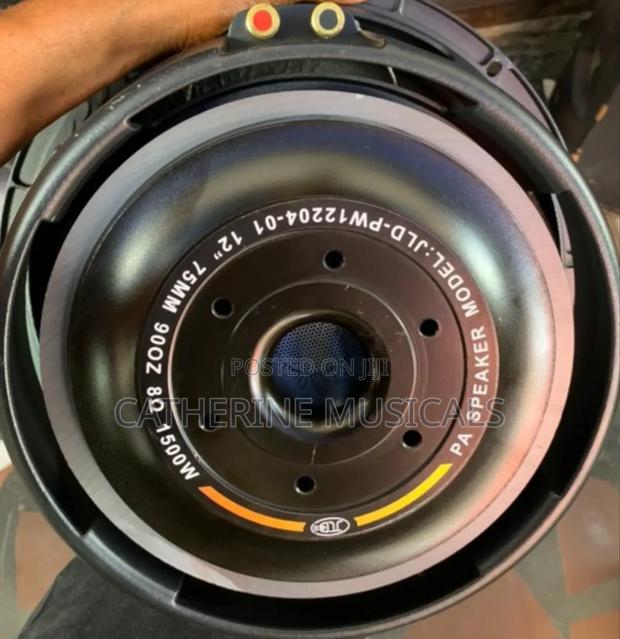 JLD 12 Inches Double Magnet Naked Speaker · Photo 1