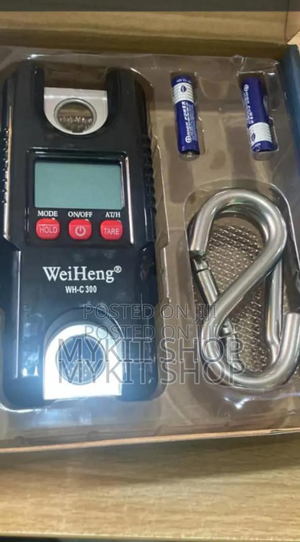 300kg Hanging Scale · Photo 1