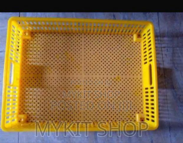 Yellow Hatchery Basket · Photo 1