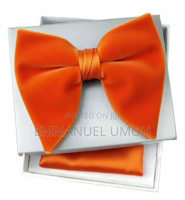 Classic Velvet Butterfly Bow Tie and Pocket Kerchief · Photo 1
