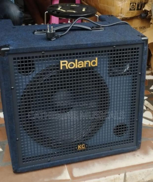 Roland Kc550 Keyboard Combo · Photo 1