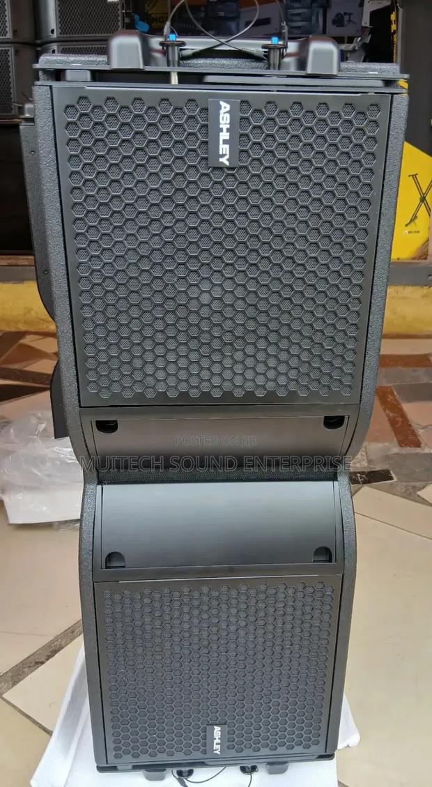 Ashley Line Array Speaker 10 Inches · Photo 3