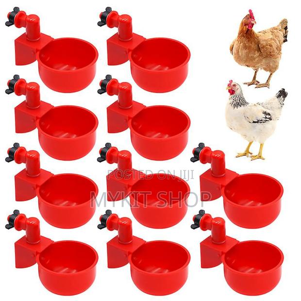Chicken Nipple (Cn20) · Photo 1