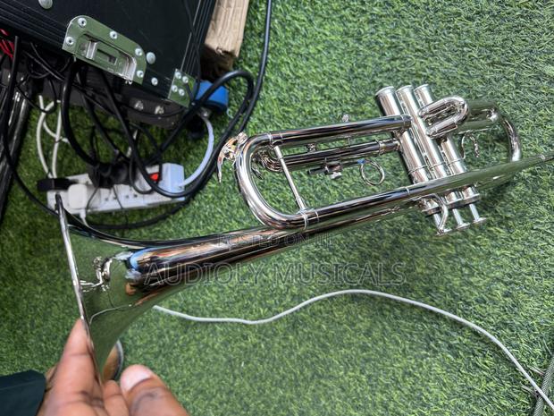 Titanic Trumpet · Photo 3