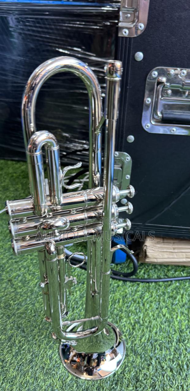 Titanic Trumpet · Photo 5