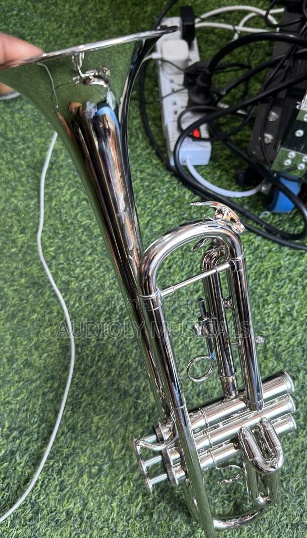 Titanic Trumpet · Photo 7