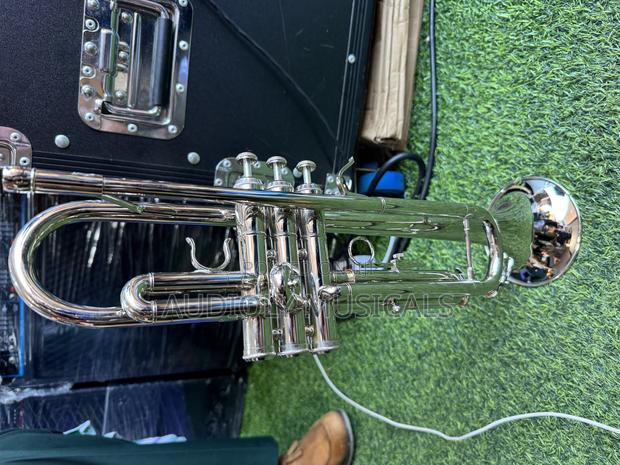 Titanic Trumpet · Photo 2