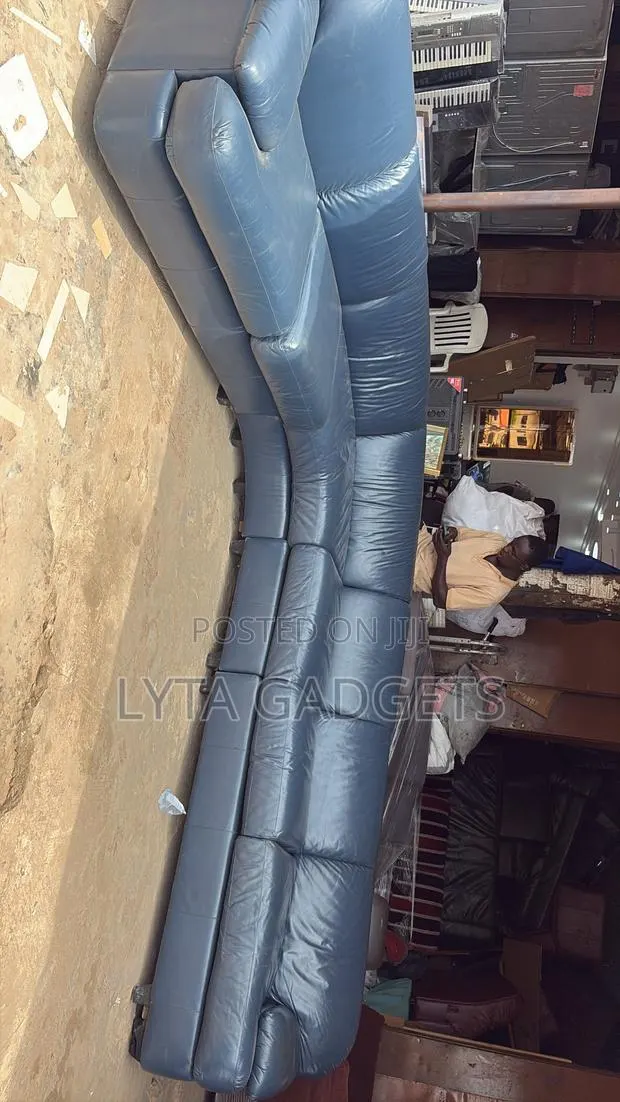 Lether Majesty Sofa · Photo 1