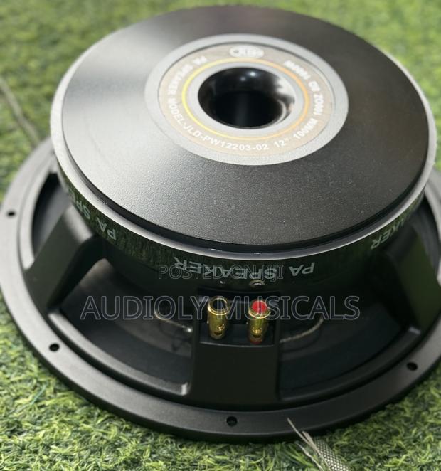 JLD 12 Inches Double Magnet 1600wtt · Photo 5