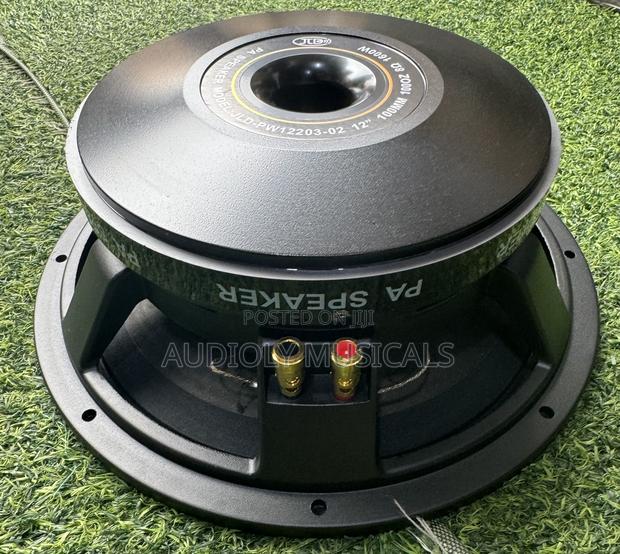 JLD 12 Inches Double Magnet 1600wtt · Photo 1