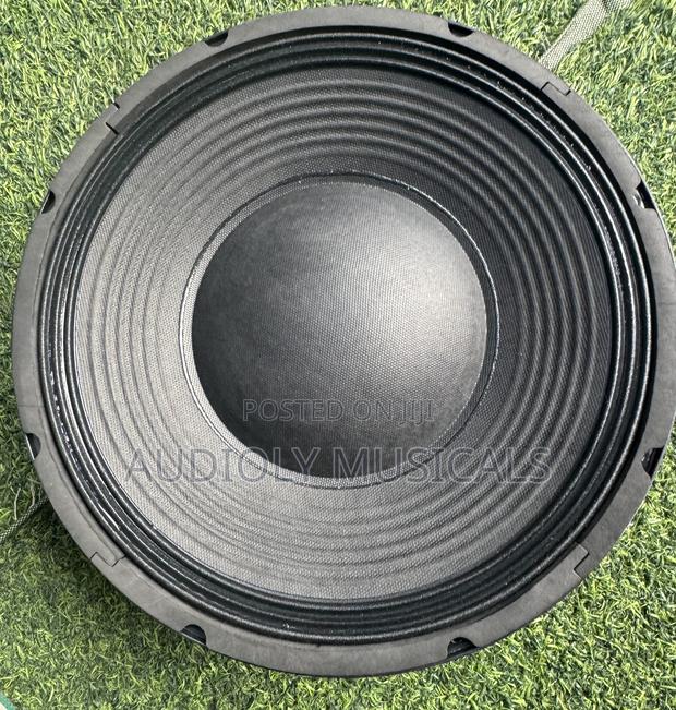 JLD 12 Inches Double Magnet 1600wtt · Photo 6