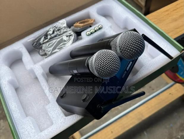 Shure Microphone (Double) · Photo 1