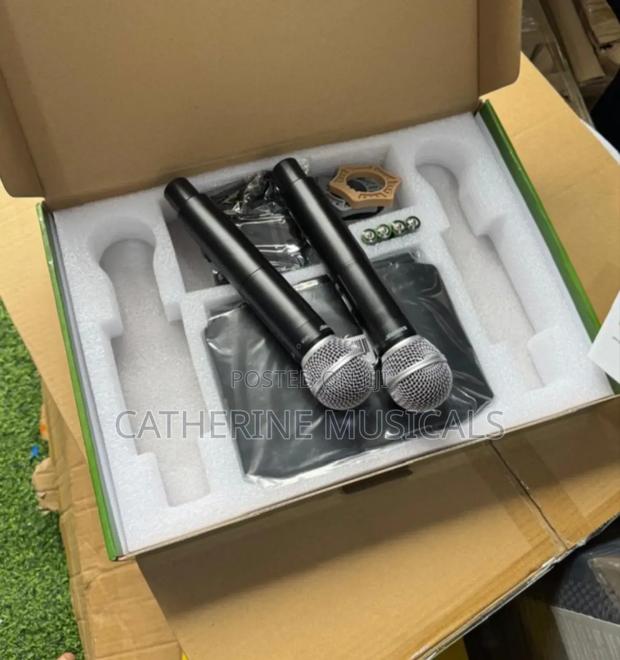 Shure Microphone (Double) · Photo 2