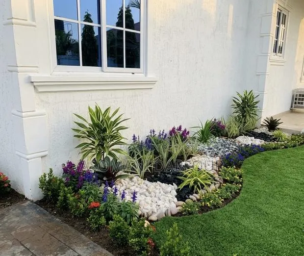 Affordable Professional Landscaping and Gardening Services.