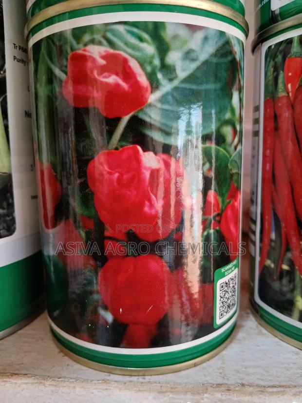Safi Hot Pepper · Photo 1
