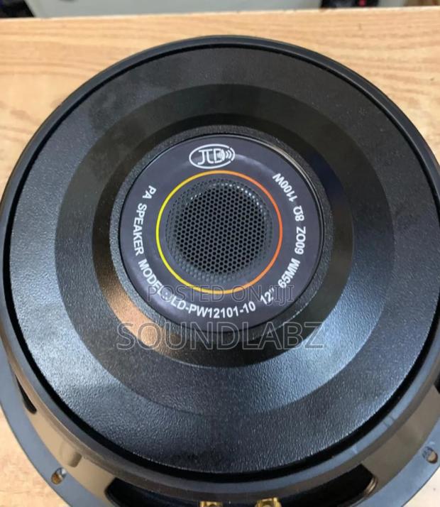 Jld-pw12101-10 12" 12inches Pair Naked Pa Speaker · Photo 1
