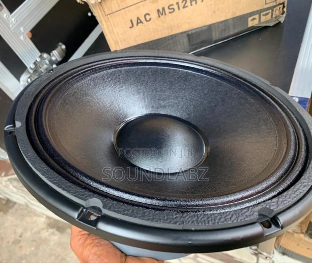 Jac 12 Inches Double Magnet Naked Speaker · Photo 3