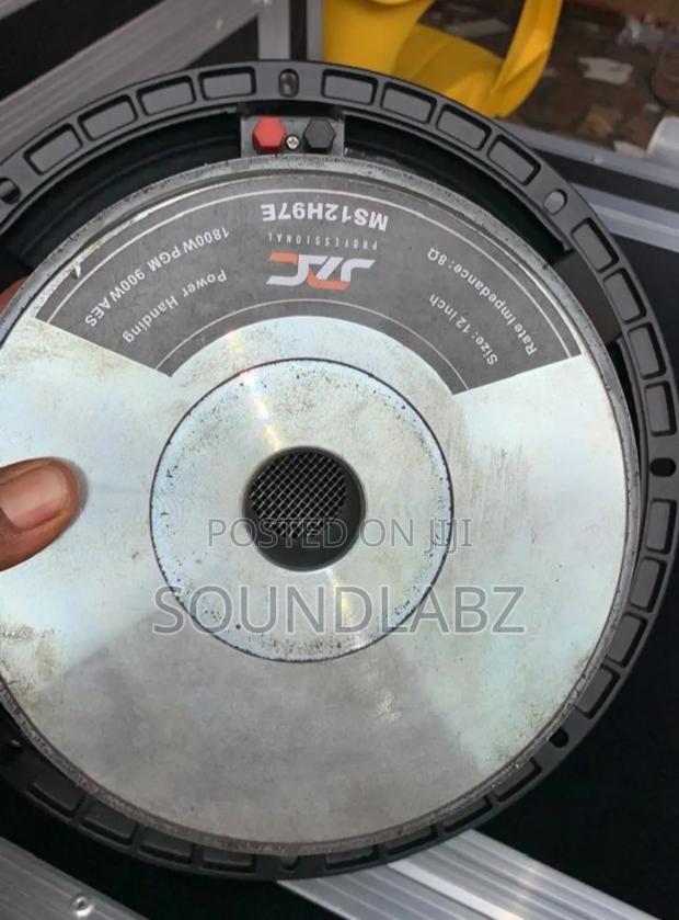 Jac 12 Inches Double Magnet Naked Speaker · Photo 1