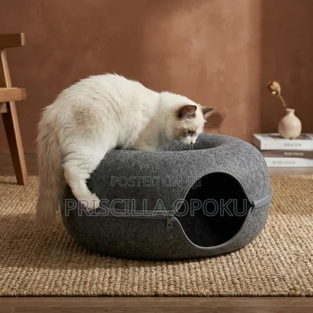 Doughnut Bee Designed for Cats and Small Pets · Photo 1
