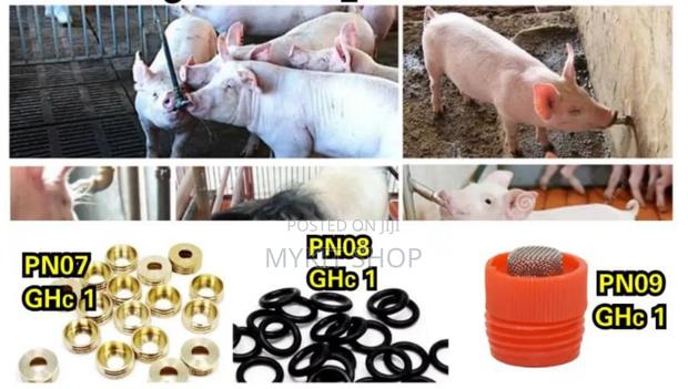 Pig Nipples(Pno7),(Pn08),(Pn09) · Photo 1