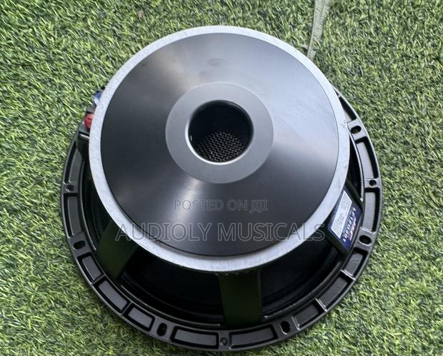 Jac Single Magnet 12-Inches Naked Speaker · Photo 3