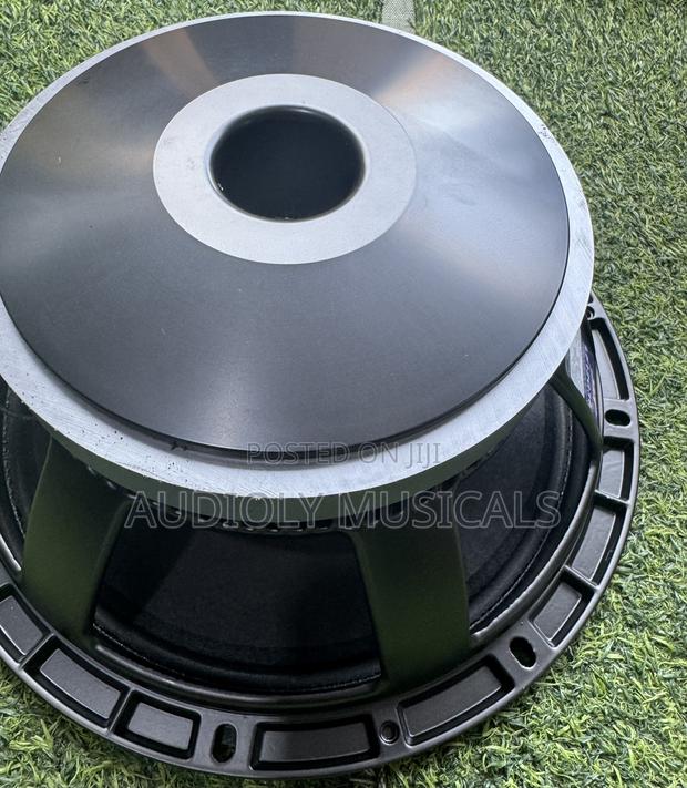 Jac Single Magnet 12-Inches Naked Speaker · Photo 4