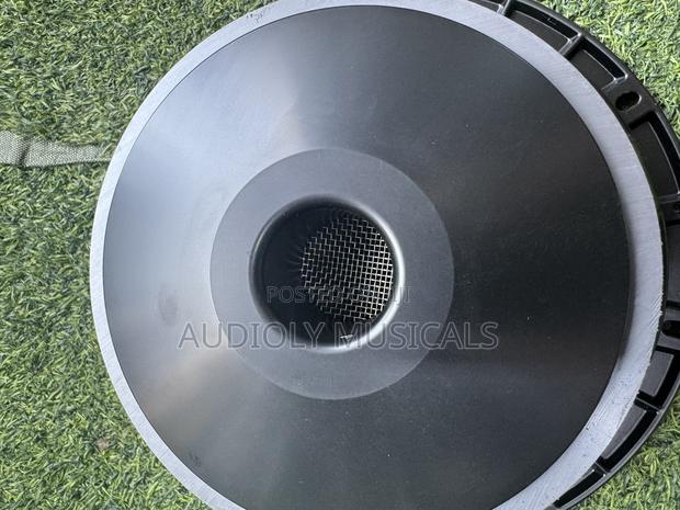 Jac Single Magnet 12-Inches Naked Speaker · Photo 5