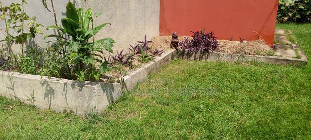Plot for Sale at Dzorwulu · Photo 4
