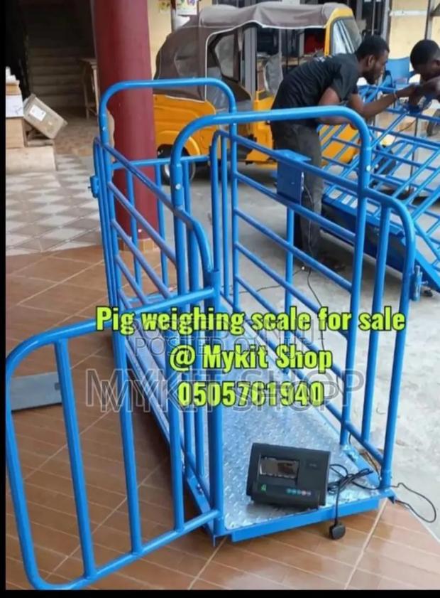 Pig Weighing Scale · Photo 1