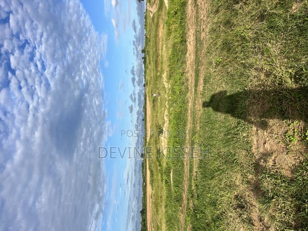 2 Plot of Land for Sale at Buduburam · Photo 2