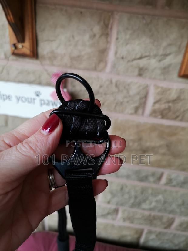 Haiti Pet Harness · Photo 2