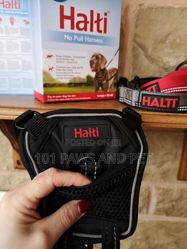 Haiti Pet Harness · Photo 4