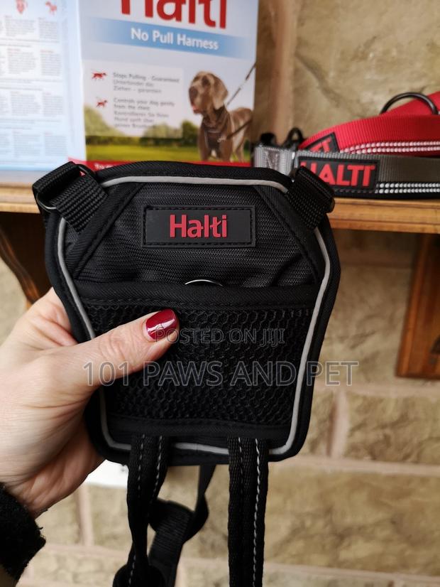 Haiti Pet Harness · Photo 1