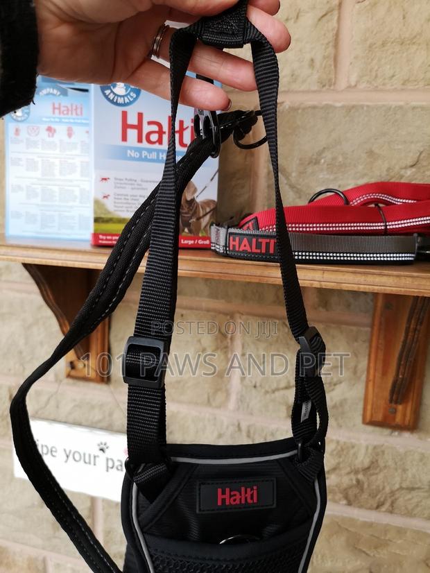 Haiti Pet Harness · Photo 3
