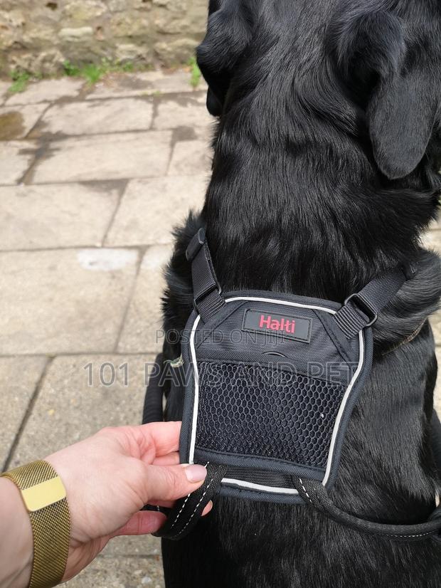 Haiti Pet Harness · Photo 5