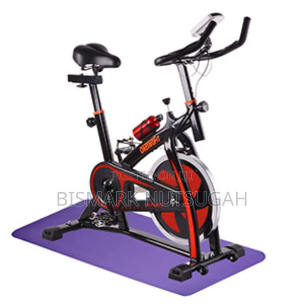 Lifespan Fitness Spin Exercise Bike · Photo 4