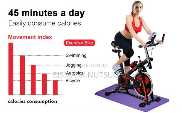 Lifespan Fitness Spin Exercise Bike · Photo 5