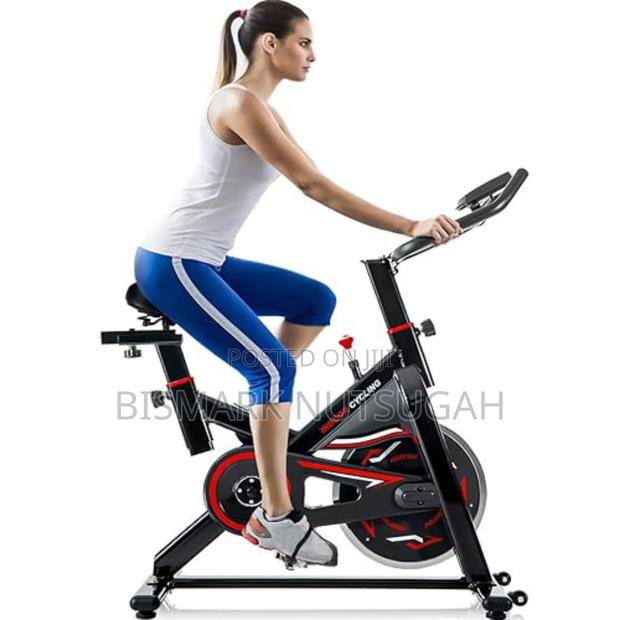 Lifespan Fitness Spin Exercise Bike · Photo 3
