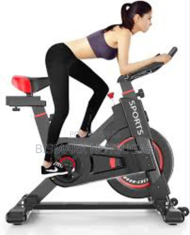 Lifespan Fitness Spin Exercise Bike · Photo 7