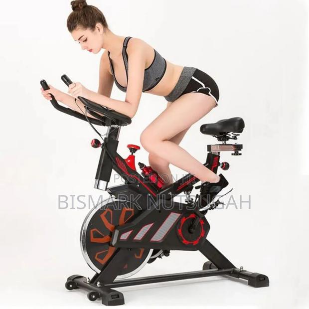 Lifespan Fitness Spin Exercise Bike · Photo 1