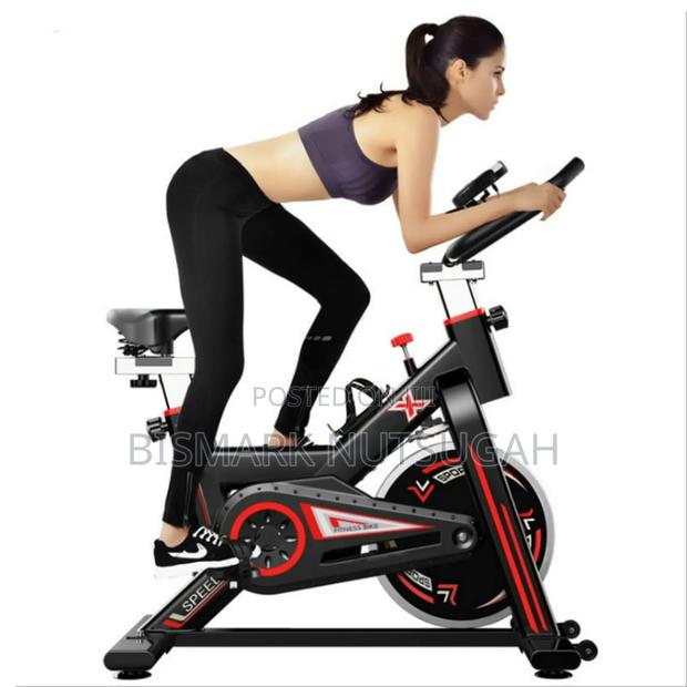 Lifespan Fitness Spin Exercise Bike · Photo 6